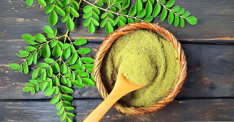 Absolutely Organic - Benefits of Moringa Powder