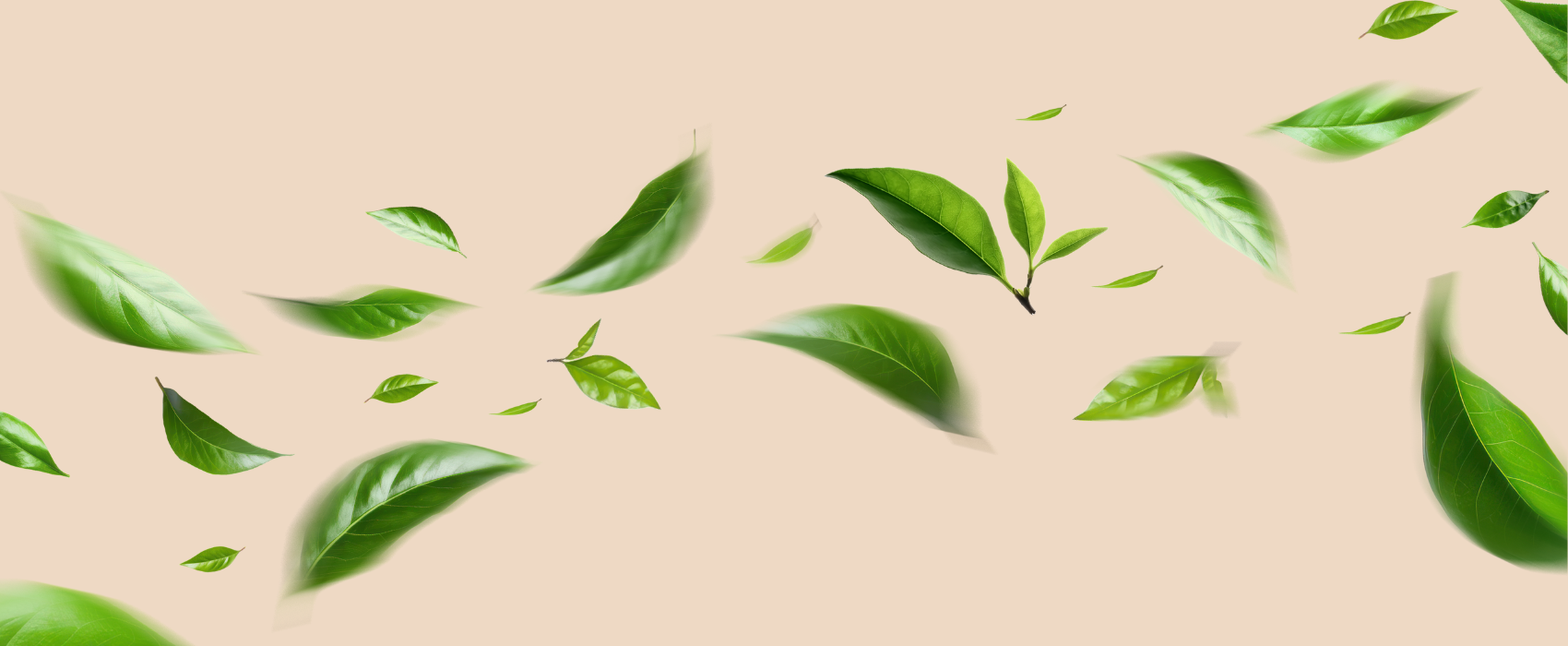 Shop Banner Raw Acacia Honey